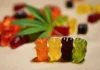 The High Road to Wellness: Delving into the Health Benefits of THC Gummies